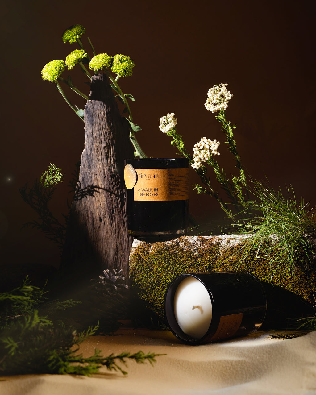 A Walk In The Forest