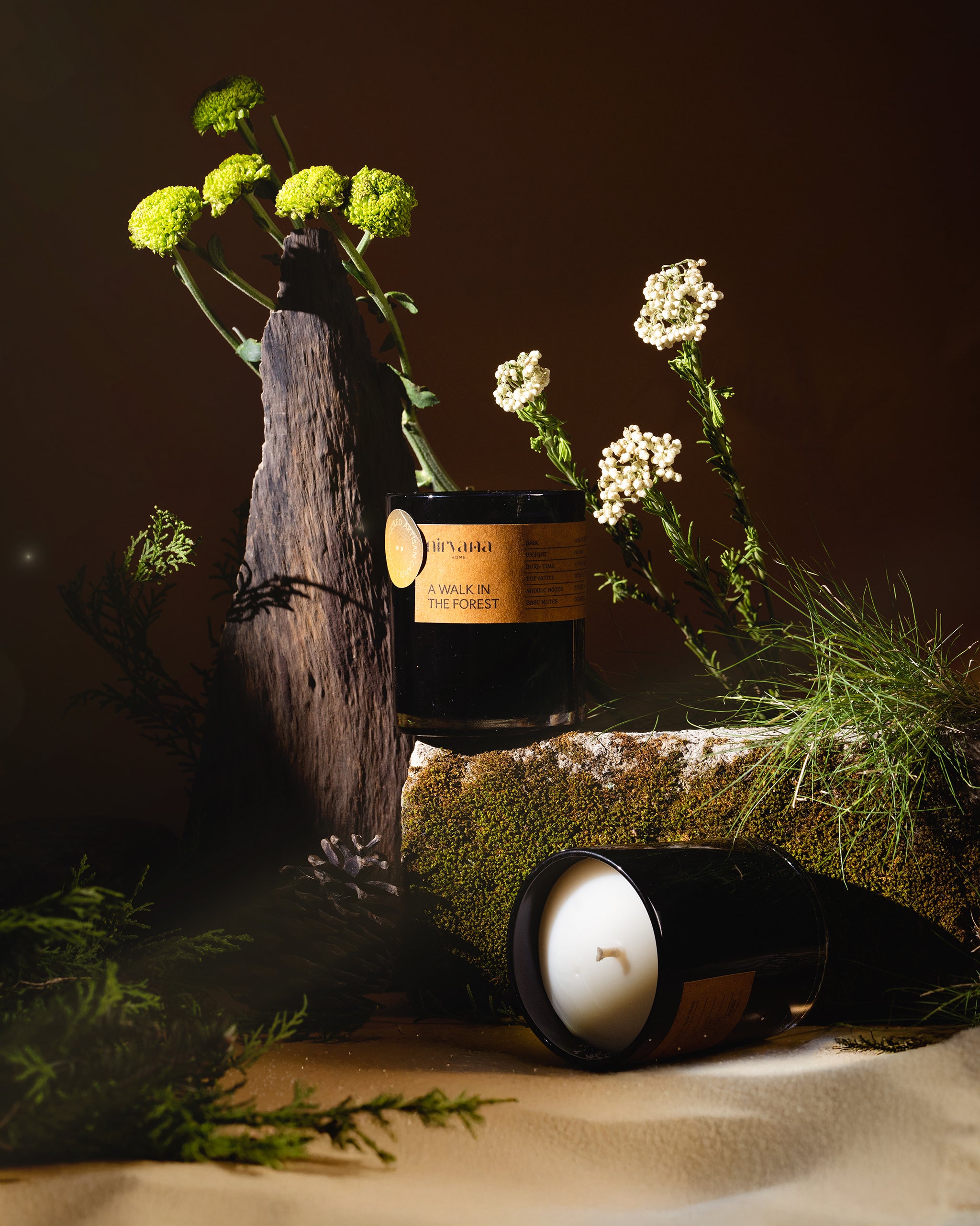 A Walk In The Forest