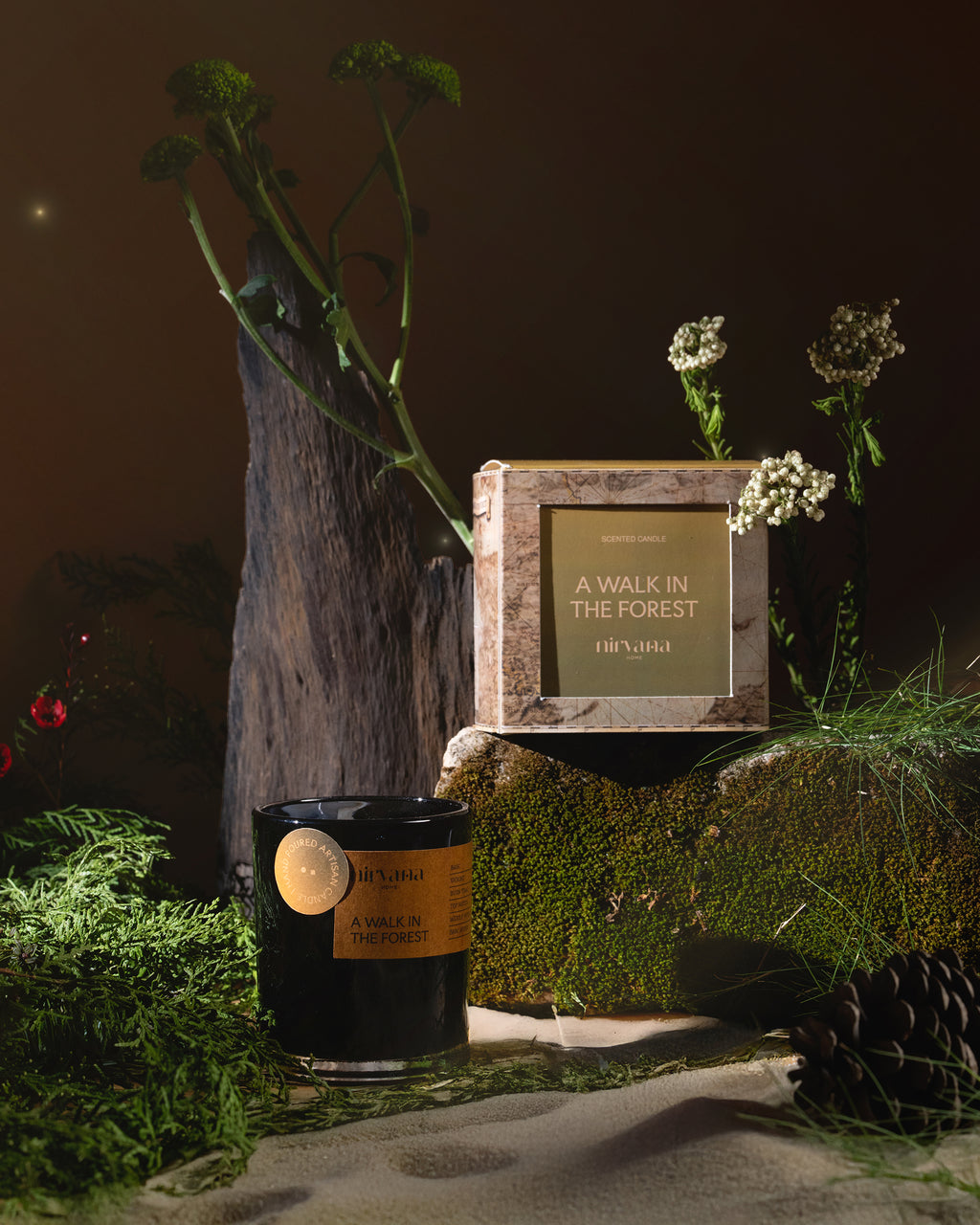 A Walk In The Forest