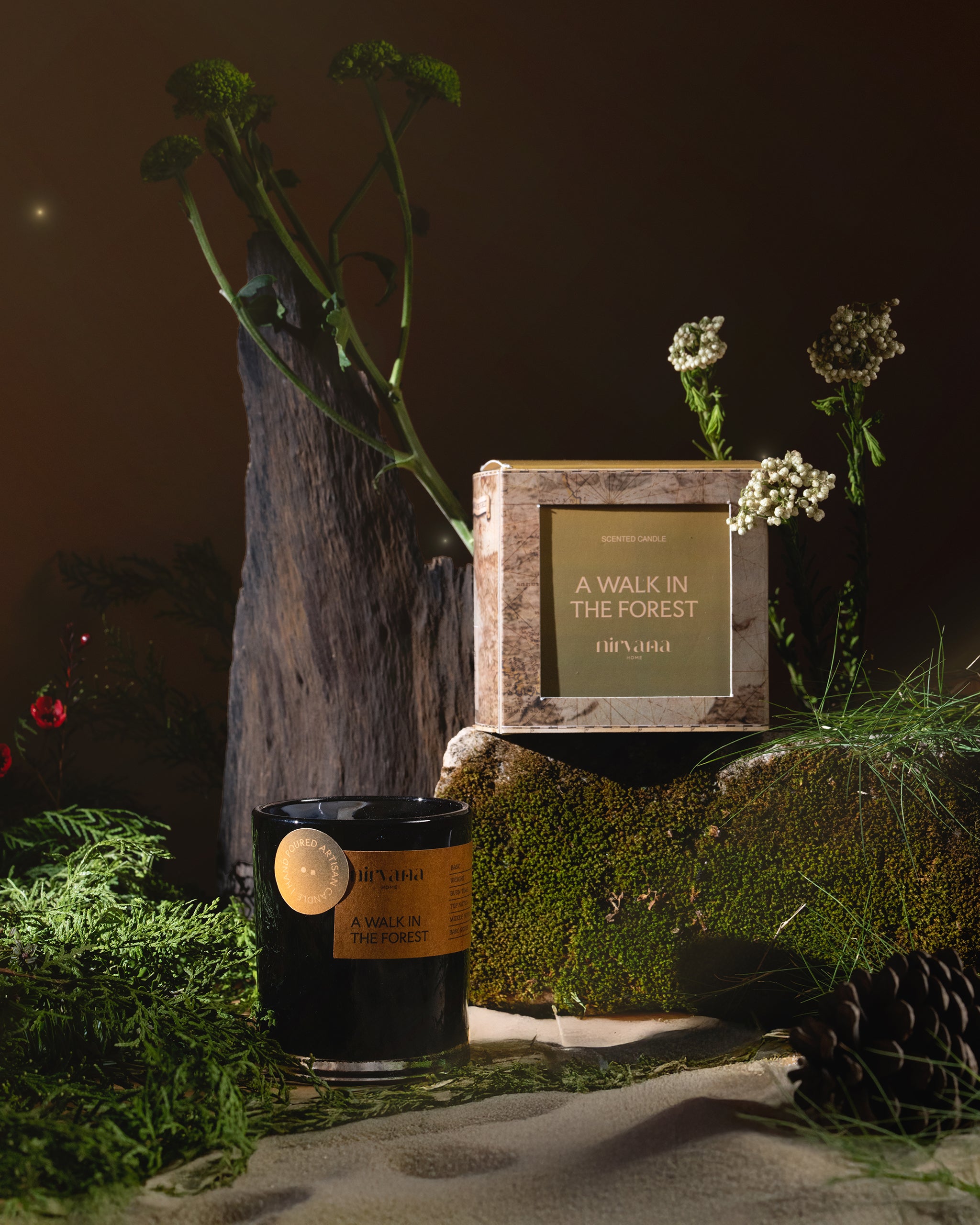 A Walk In The Forest